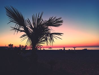 Silhouette palm trees on beach against sky during sunset