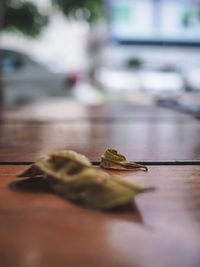 Close-up of dry leaves on table