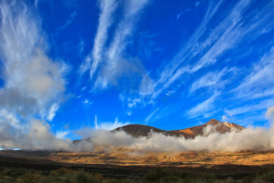 Scenic view of landscape against blue sky