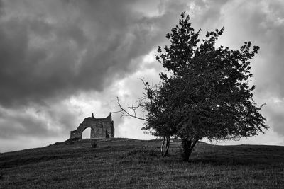 Tree on field by building against sky