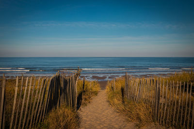 Footpath between wooden fences on the atlantic dune in france, montalivet