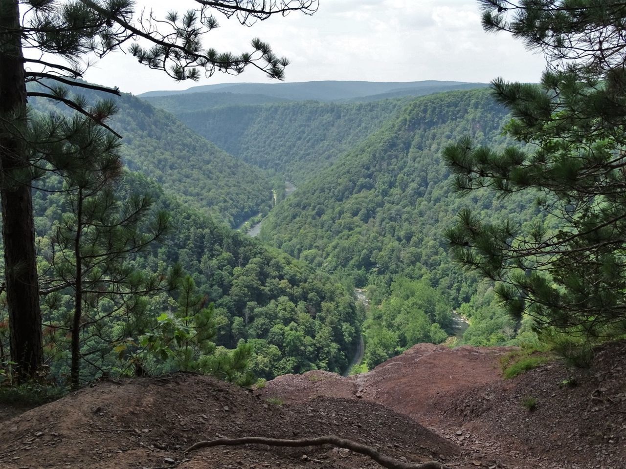 tree, plant, forest, landscape, scenics - nature, environment, land, beauty in nature, mountain, nature, wilderness, growth, ridge, tranquility, trail, sky, non-urban scene, tranquil scene, no people, day, green, natural environment, outdoors, soil, valley, cloud, mountain range, coniferous tree, pinaceae, pine tree