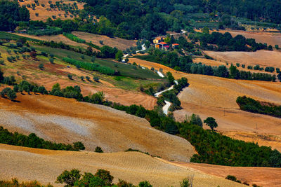 Scenic view of agricultural field