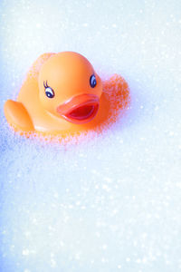 Close-up of rubber duck floating on soap sud