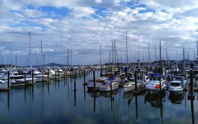 Boats moored in harbor