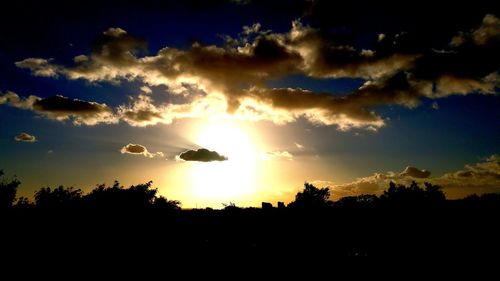 Silhouette of trees at sunset