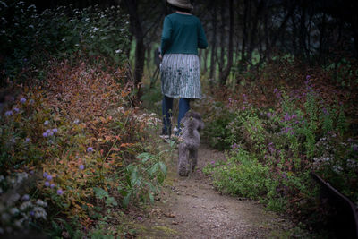 Rear view of woman walking on footpath in forest