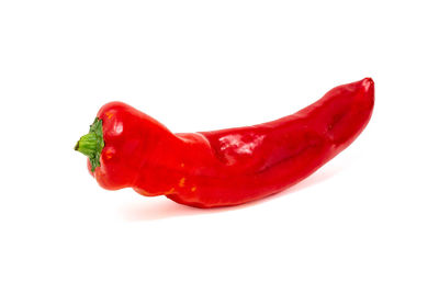 Close-up of red chili pepper against white background