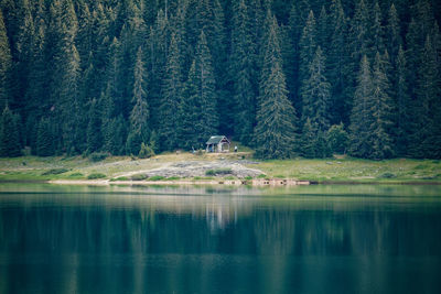 reflection