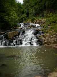 River flowing through forest