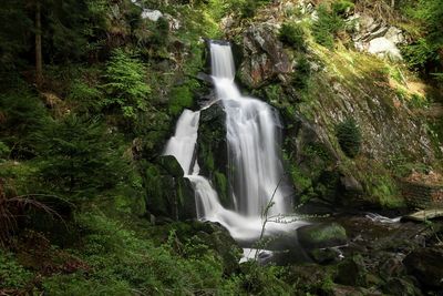 Scenic view of waterfall in forest