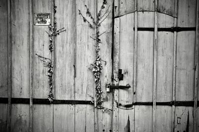 wood