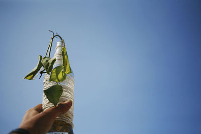 Low section of person holding bottle vase against clear blue sky