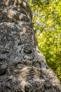 Close-up of old statue against tree