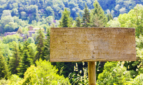 Old wooden plaque pointer in forest