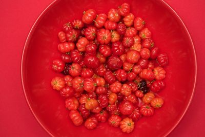 Pitanga in a red bowl on red background