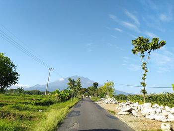 Road amidst trees on field against sky