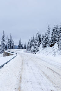 Snow covered road amidst trees against sky