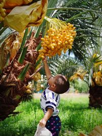 Full length of boy standing by tree