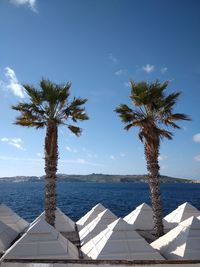 Palm tree by sea against sky