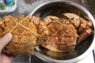 Close-up of hand holding crab