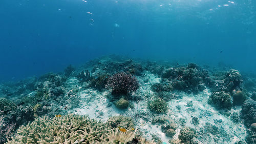 underwater