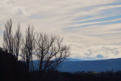 Bare trees on landscape against sky