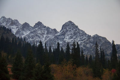 Alpine rocky ridge in the tuyuksu gorge with a forest in the foreground in autumn