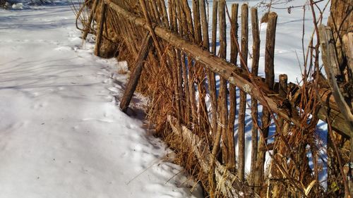 Frozen grass against sky during winter