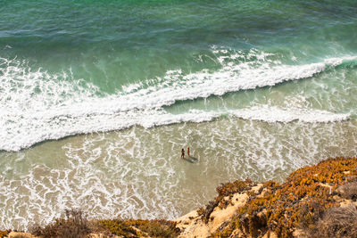 High angle view of bird on beach