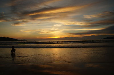 Silhouette person on beach against sky during sunset