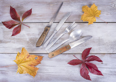 High angle view of maple leaves on table