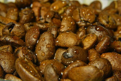 Full frame shot of seafood