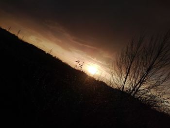 Silhouette of trees against sky during sunset