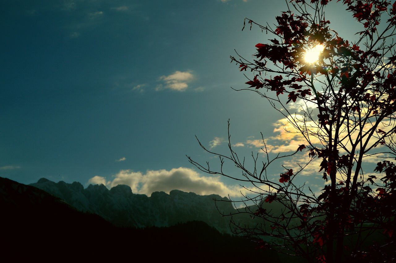 sun, silhouette, sunbeam, sky, lens flare, sunlight, beauty in nature, tranquility, tranquil scene, sunset, scenics, low angle view, nature, tree, bright, mountain, back lit, growth, cloud - sky, outdoors