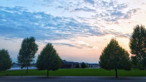 Trees on field against sky during sunset