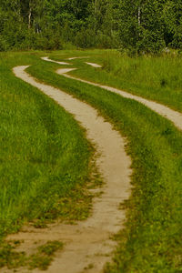 Footpath amidst grass and land