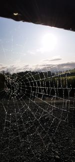 Close-up of spider web on field against sky