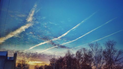 Low angle view of bare trees against blue sky