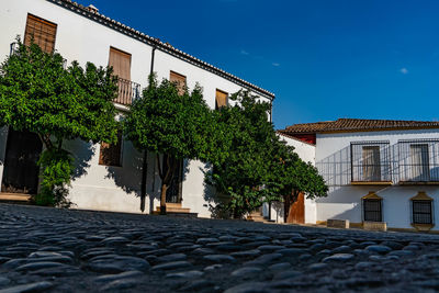 Low angle view of trees and building against blue sky