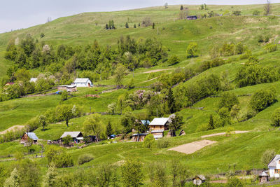 Houses on green landscape against sky