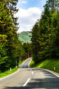 Road amidst trees against sky