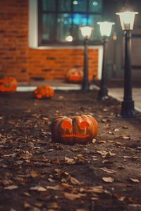 View of pumpkins on illuminated street