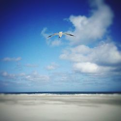 Airplane flying over sea against sky