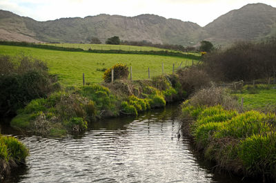 Scenic view of land