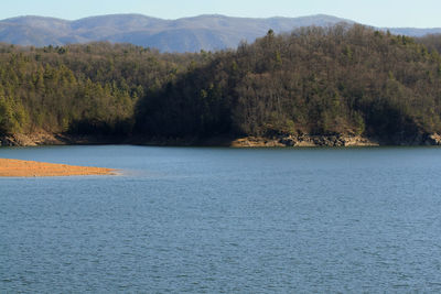 Scenic view of lake by trees against sky