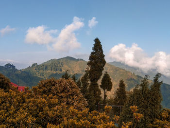 Scenic view of trees and mountains against sky