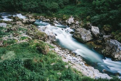 Scenic view of waterfall in forest