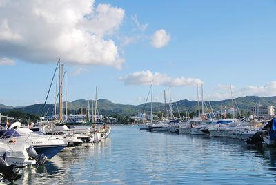 Sailboats moored in harbor