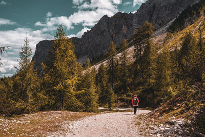 Rear view of woman by trees against sky